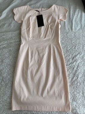 Elegant Blush/Light Pink Dress - Feminine Cap Sleeve Design